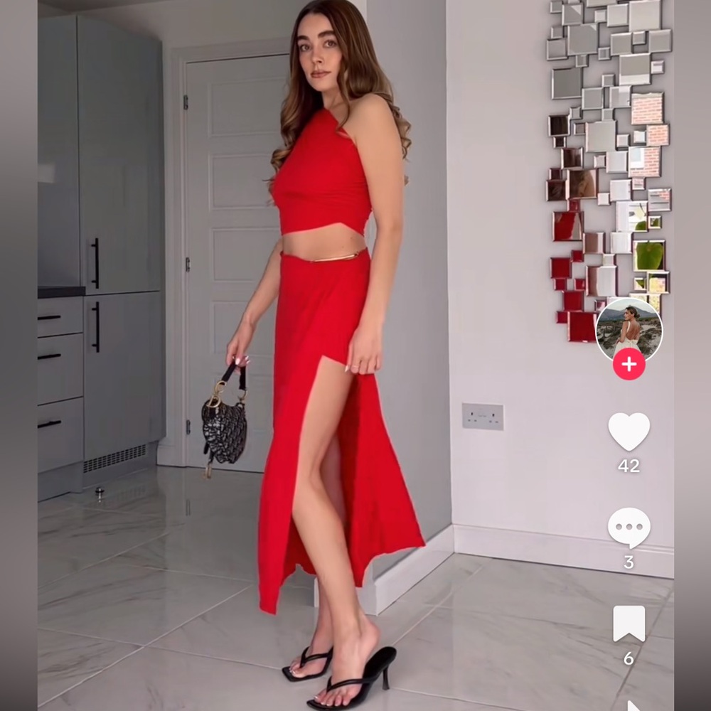 183 NWT ZARA BLOGGERS FAVE RED CHAIN SKIRT